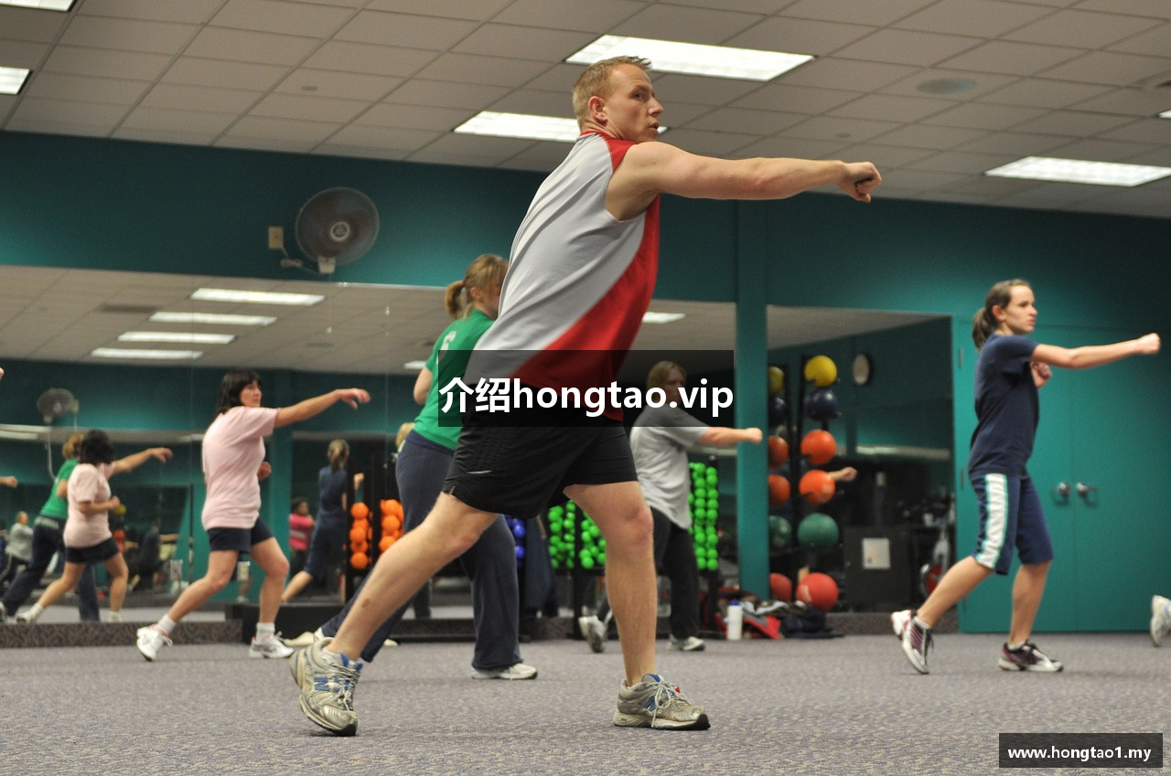 介绍hongtao.vip