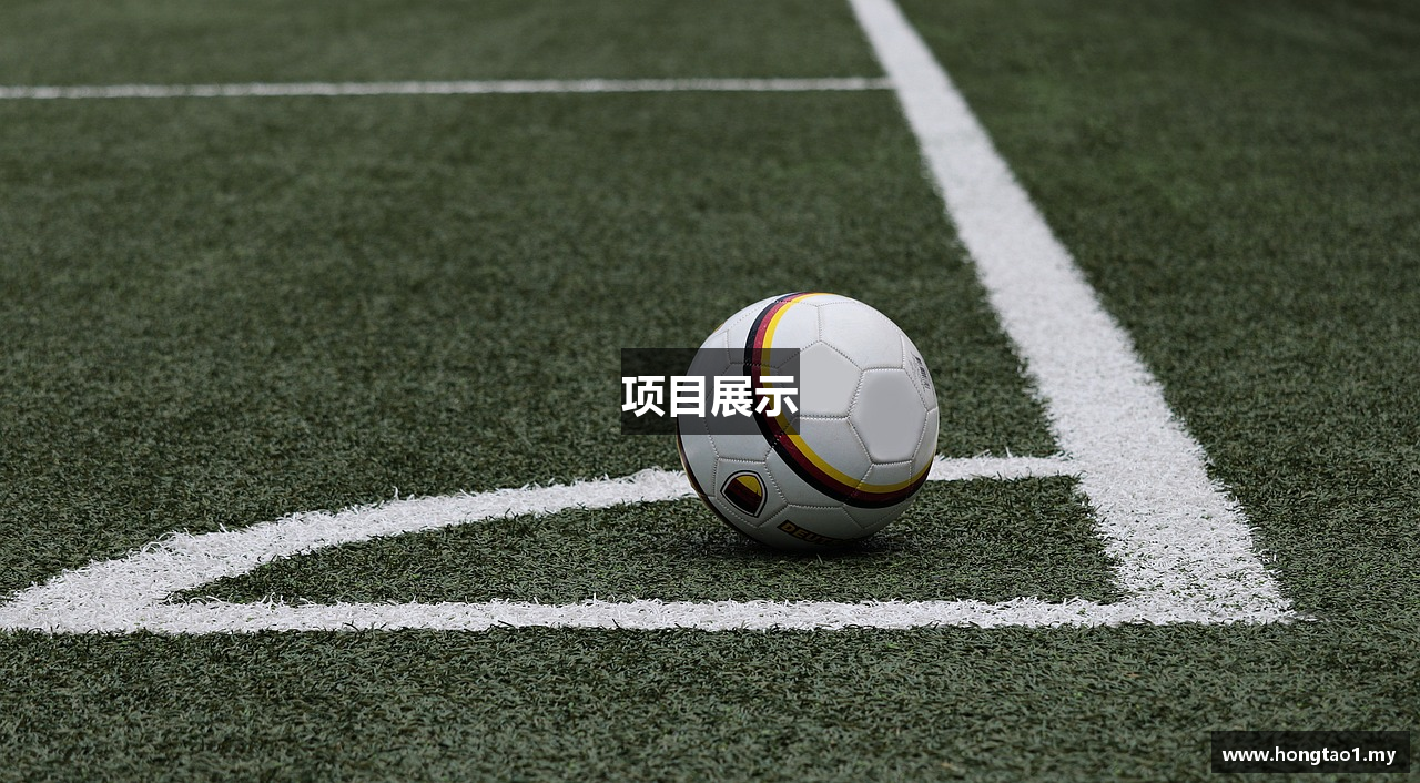 项目展示